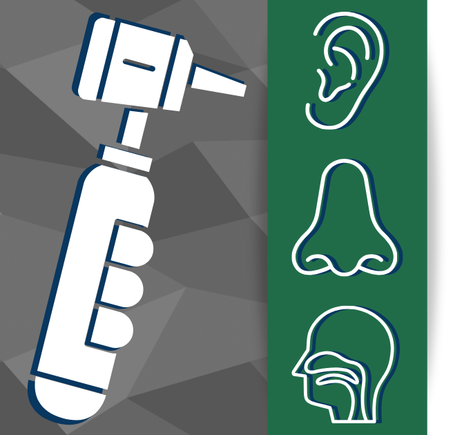 Image for Oto-Observer - Otolaryngology Link