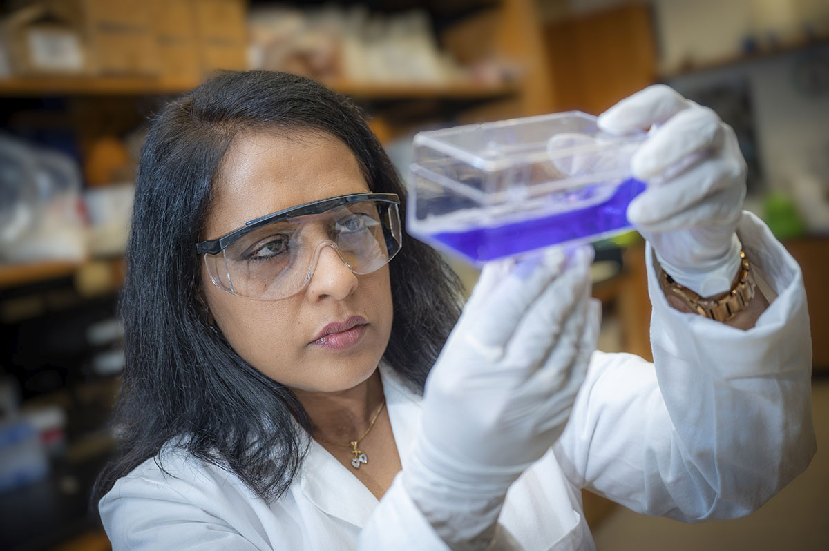 Woman wearing protective glasses and white gloves holds and stares at purple liquid