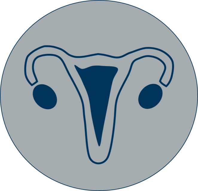 icon of a uterus 