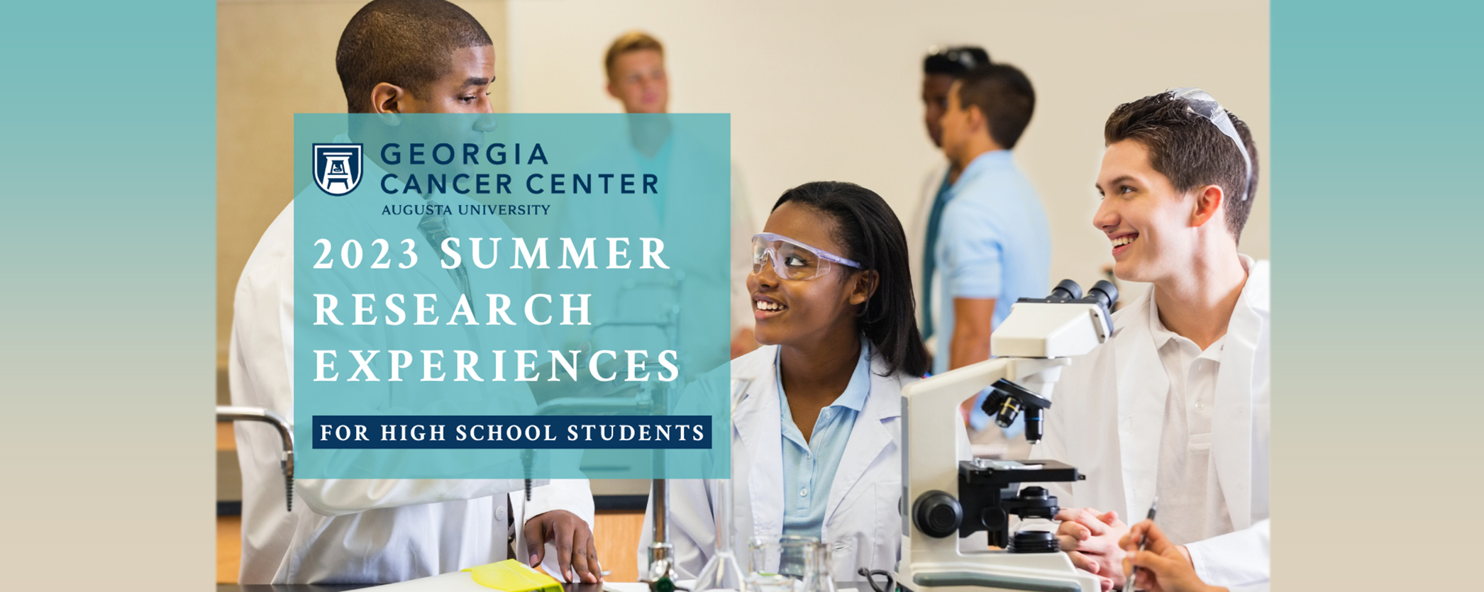 high school students summer research programs