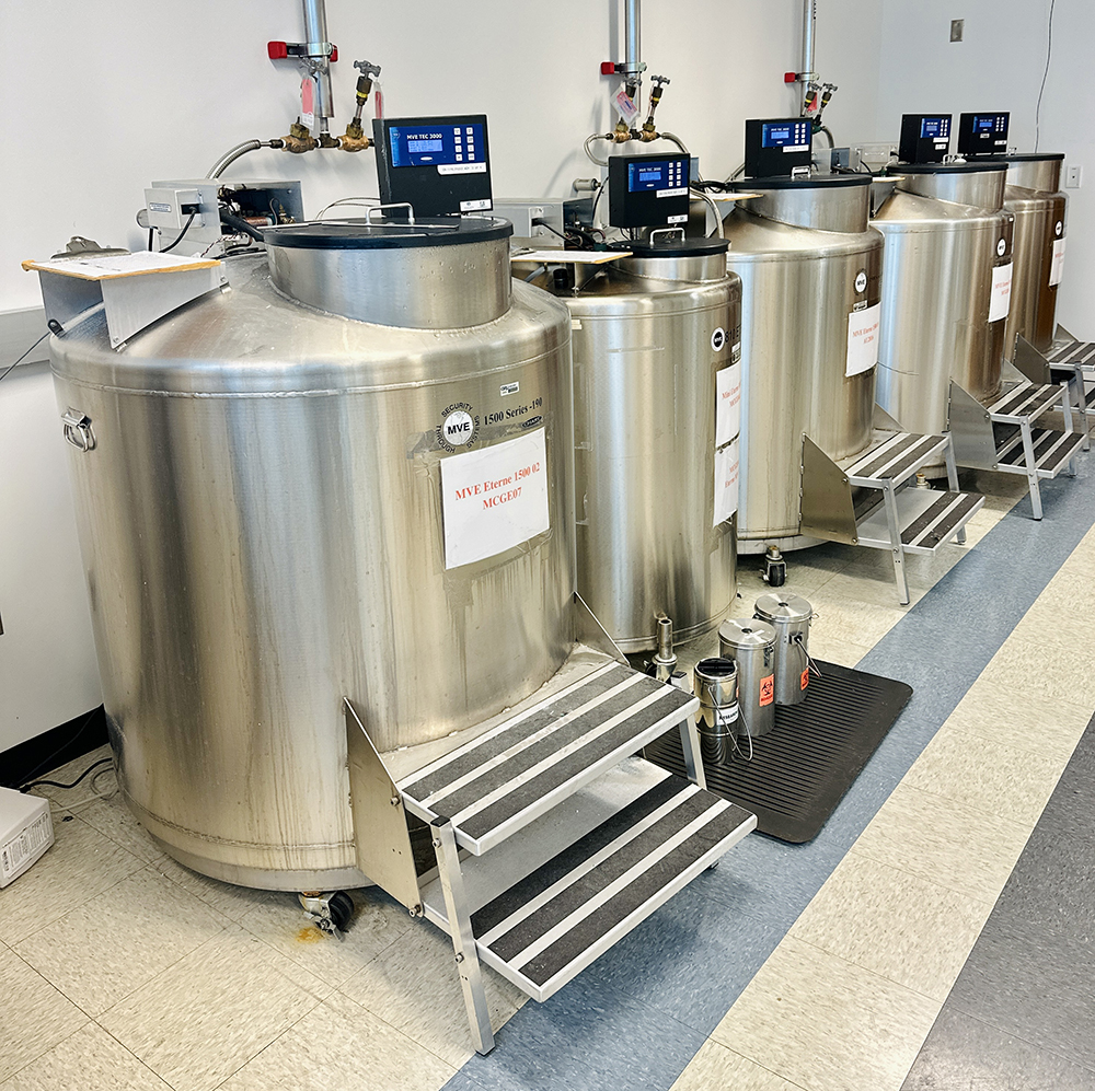 MVE Liquid Nitrogen Freezer Bank