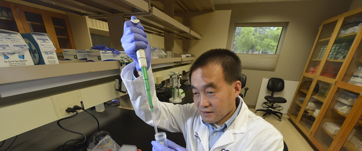 Photo of Dr. Liu in his lab working