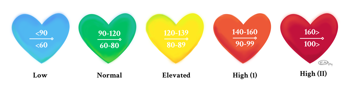 Five colored hearts explaining Blood Pressure: Blue heart- Low <90 -<60, Green heart- Normal 90-120 and/or 60-80, Yellow heart- Elevated 120-139 and/or 80-89, Orange Heart High (1) 140-160 and/or 90-99, Red Heart- High (2) 160> and/or 100>. Hypertenion Crisis is 180+ and/or 120+