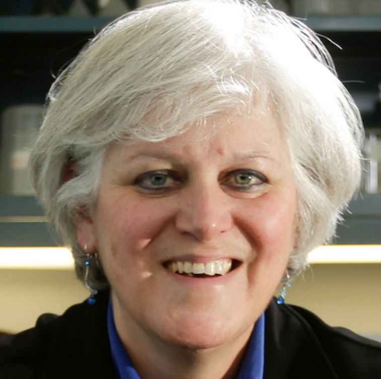 photo of Dr. Lisa Cassis