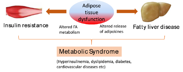 Weiqin Chen, PhD