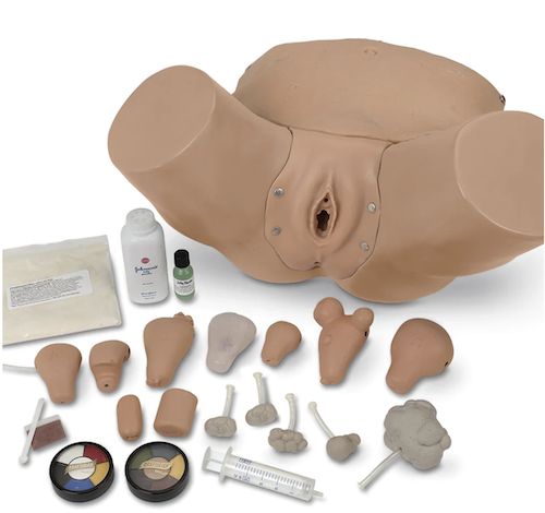 Pelvic Examination Trainer by Advanced Pelvic Examination Gynecological Simulator