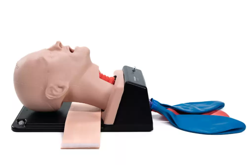 Airway Trainer by AirSim Advance- AirSim Combo X Adult Airway Trainer