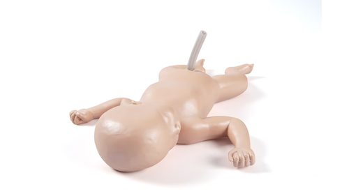 Umbilical Cord Catheterization Trainer by Baby Umbi