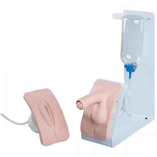 Catheterization Trainer by Catheterization simulator with basic features