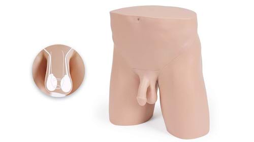 Pelvic Examination Trainer by Clinical Male Pelvic Trainer (CMPT) Mk 2 - Advanced