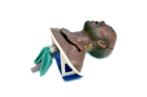 Airway Trainer by Modular Partial Airway Trainer