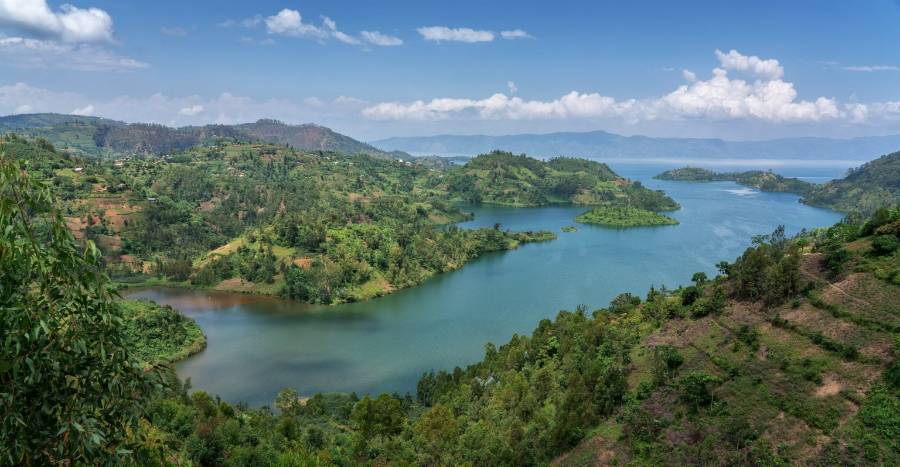 landscape with water and greenery